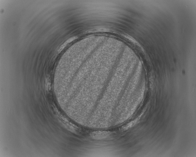 X0000060790929200512082120