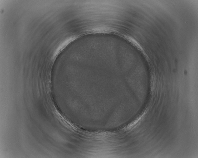 X0000060790930200512082120