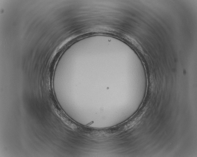 X0000060790931200512082120