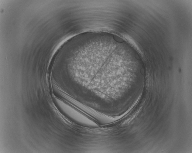 X0000060790932200512082120