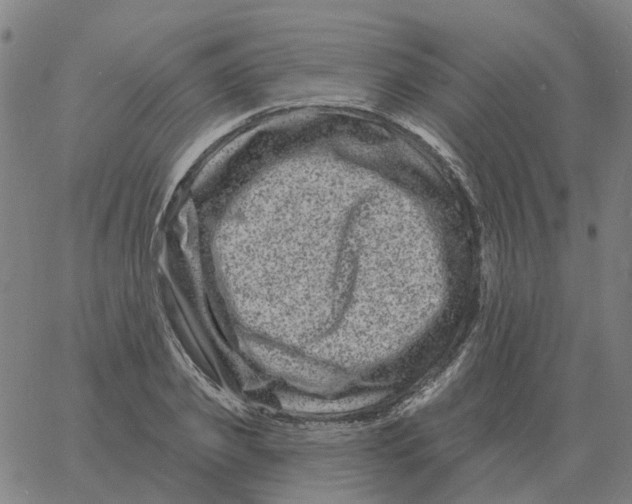 X0000060790933200512082120