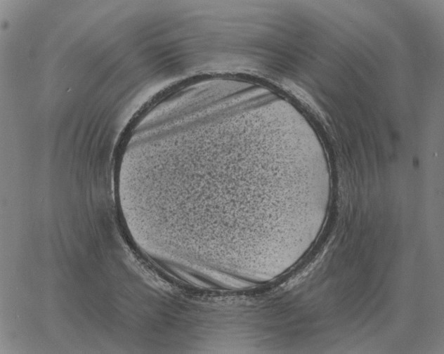 X0000060790934200512082120