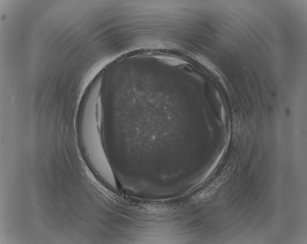 X0000060790935200512082120