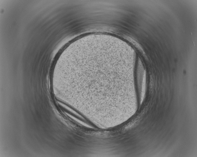 X0000060790936200512082120