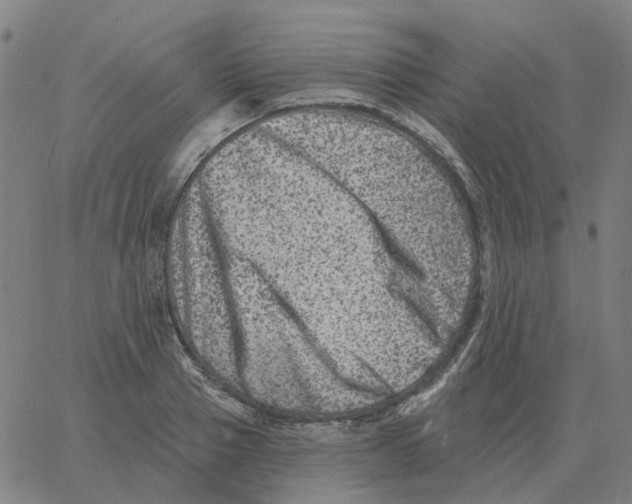 X0000060790937200512082120