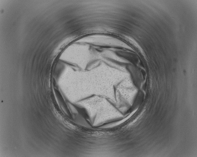 X0000060790938200512082120