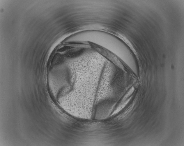 X0000060790939200512082120