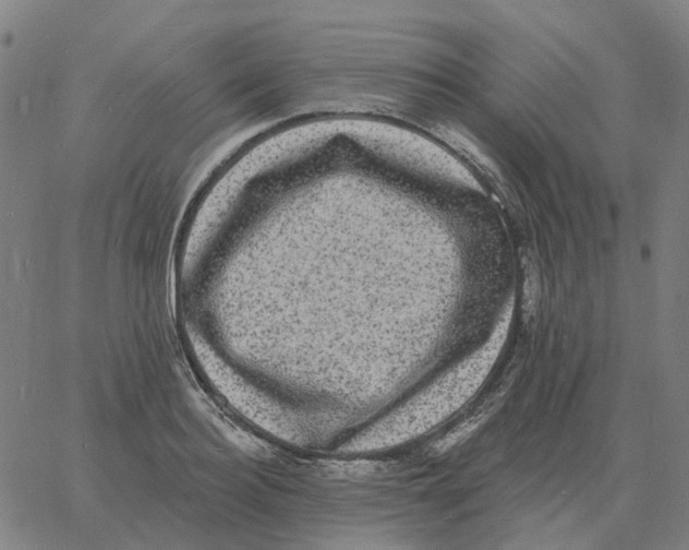 X0000060790940200512082120