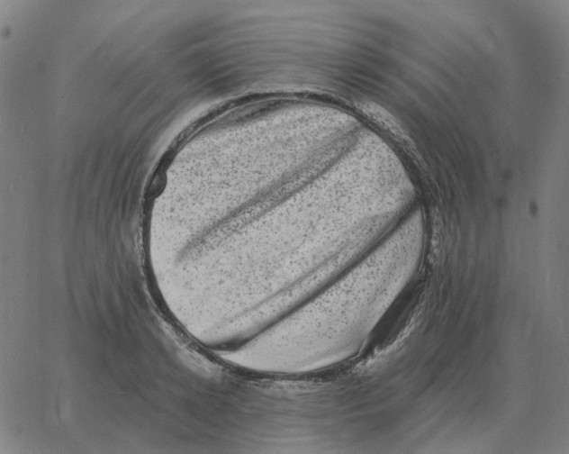 X0000060790942200512082120