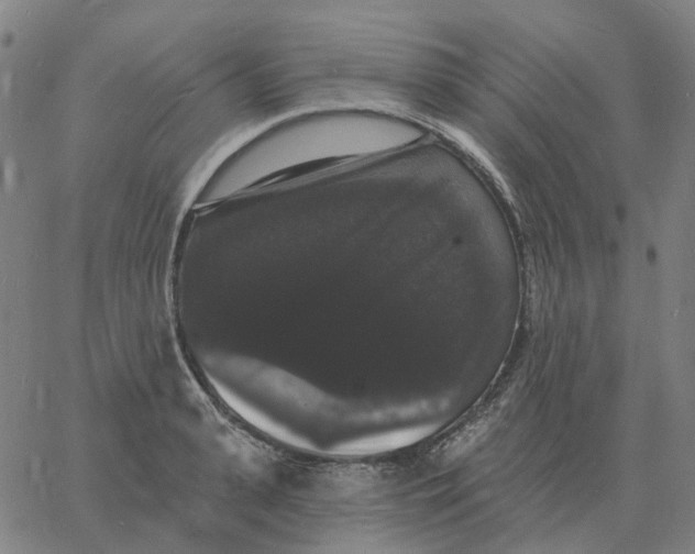 X0000060790943200512082120