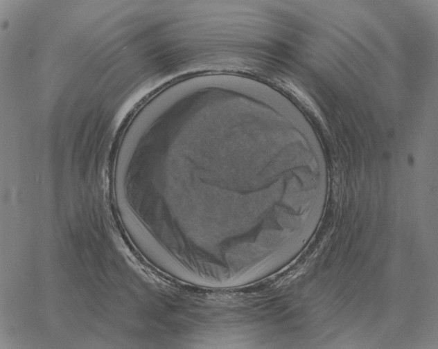 X0000060790944200512082120