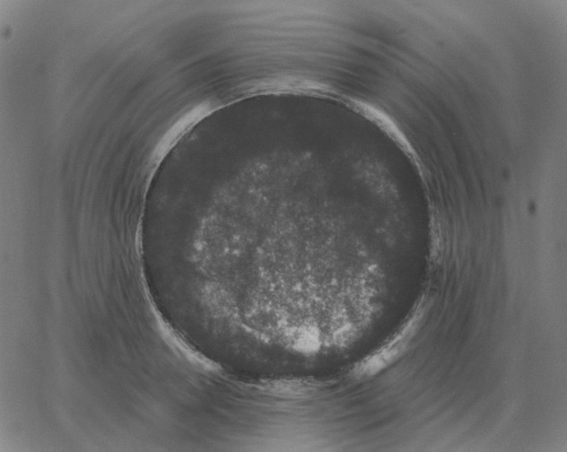 X0000060790946200512082120