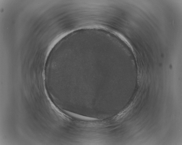 X0000060790951200512082121