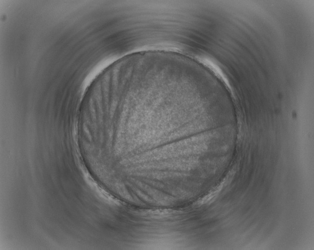 X0000060790952200512082121