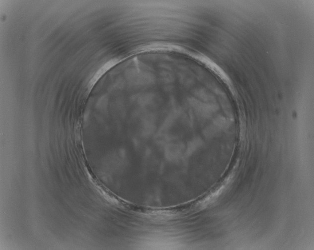 X0000060790953200512082121