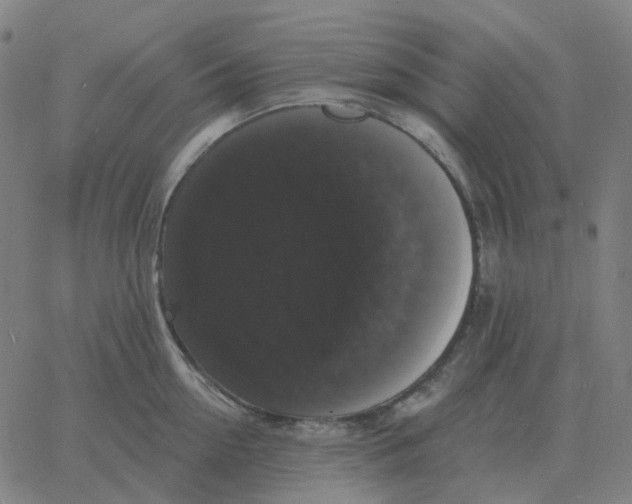 X0000060790954200512082121