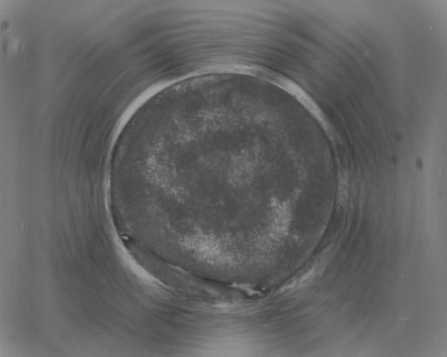 X0000060790955200512082121