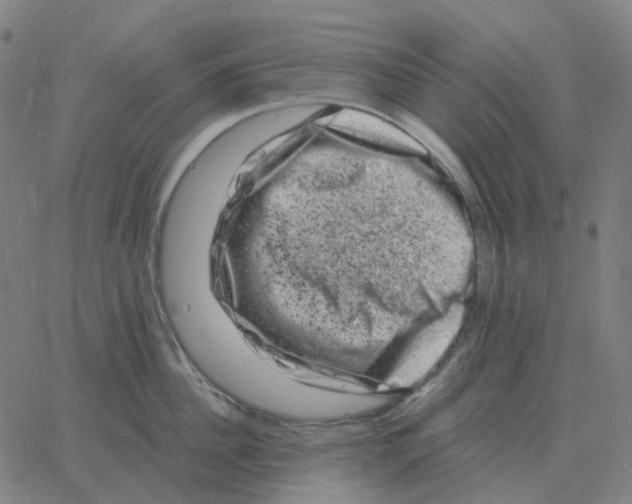 X0000060790956200512082121