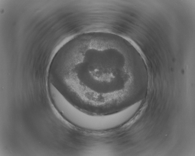 X0000060790957200512082121