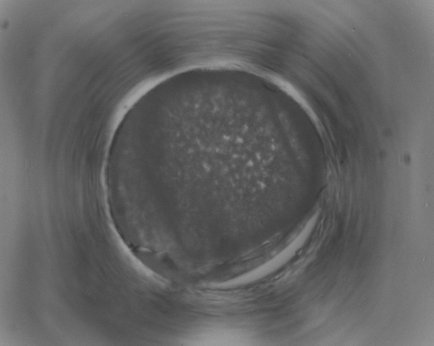 X0000060790959200512082121