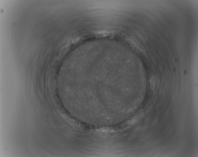 X0000060790961200512082120