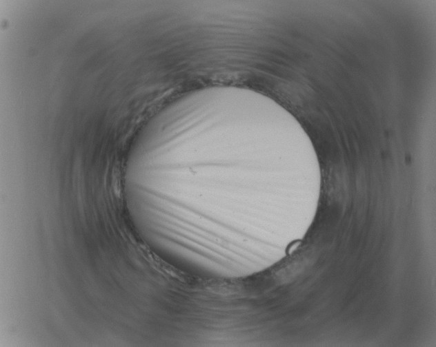 X0000060790962200512082120