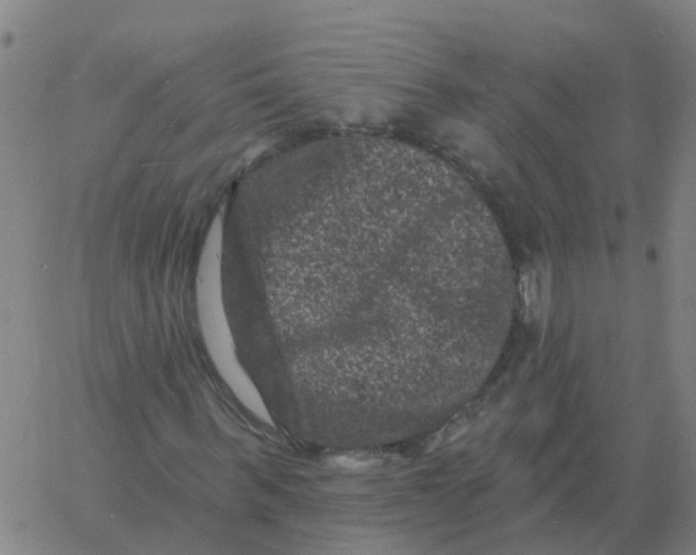 X0000060790963200512082120