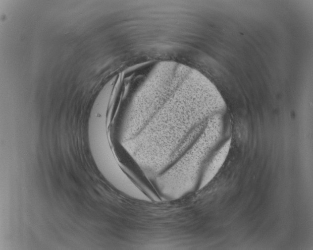 X0000060790964200512082120