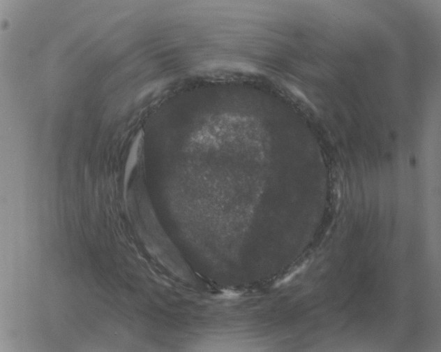 X0000060790965200512082120