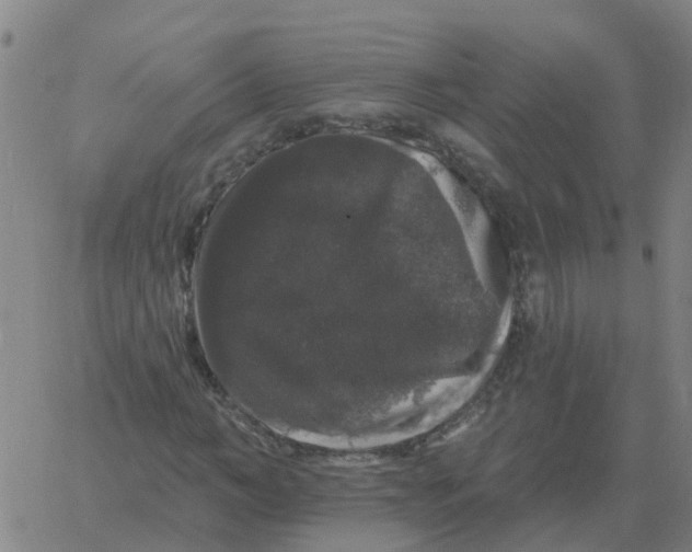 X0000060790966200512082120