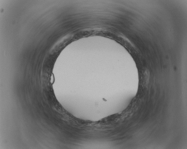 X0000060790967200512082120