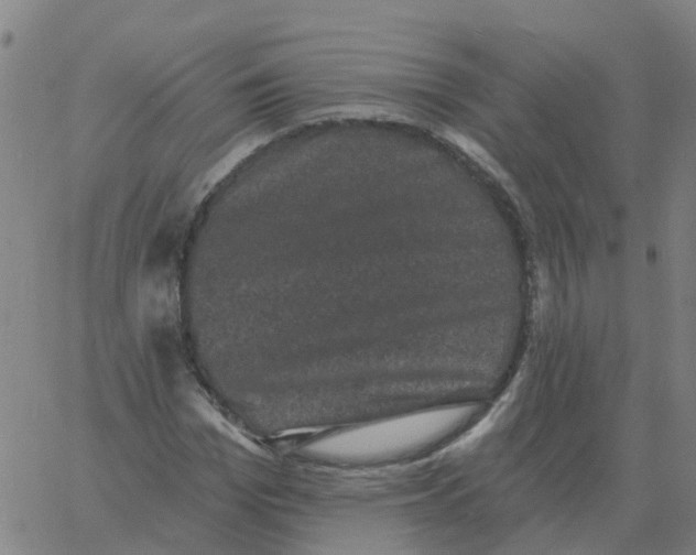 X0000060790969200512082120