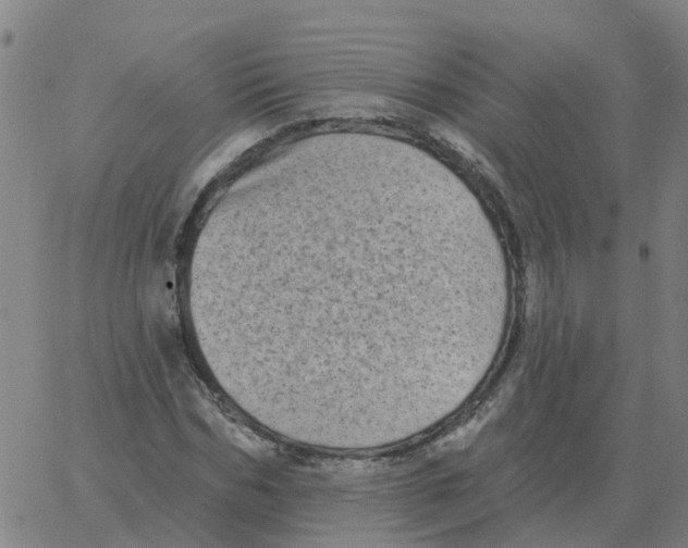 X0000060790970200512082120