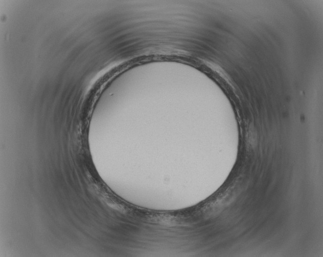 X0000060790971200512082120