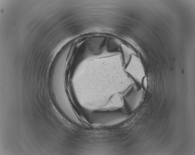 X0000060790972200512082120