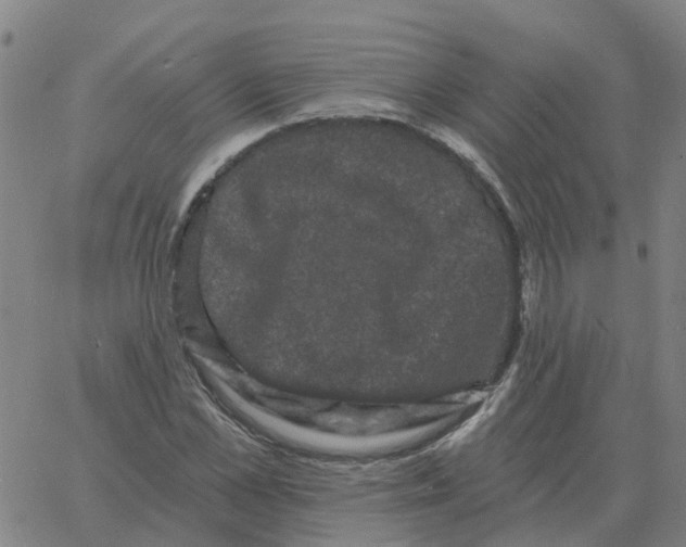 X0000060790973200512082120