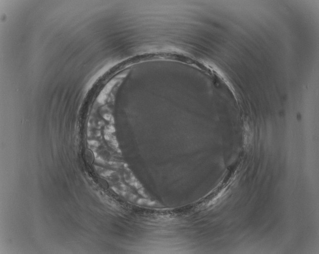 X0000060790975200512082120