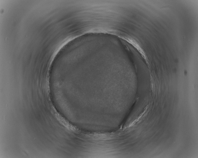 X0000060790976200512082120