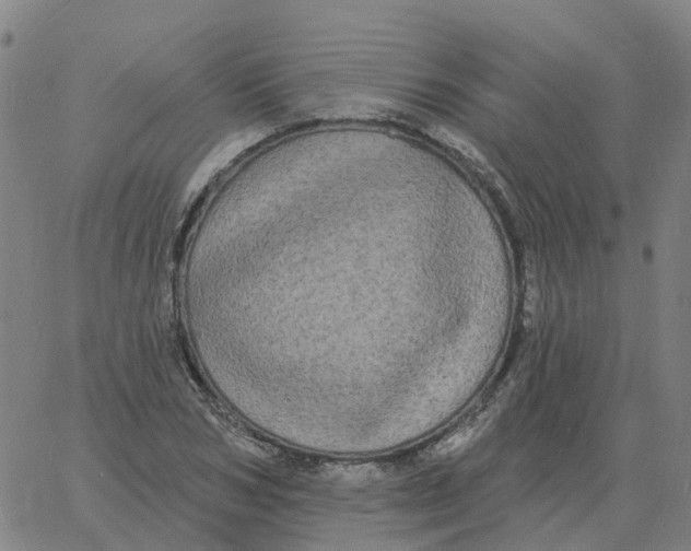 X0000060790978200512082120