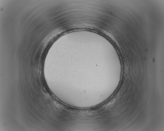 X0000060790979200512082120