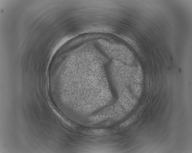 X0000060790982200512082120