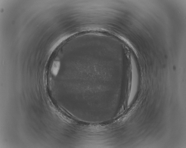 X0000060790983200512082120