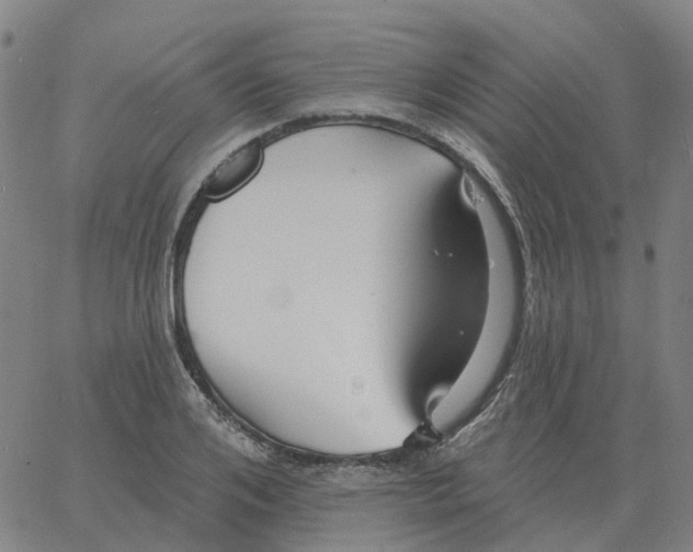 X0000060790984200512082120