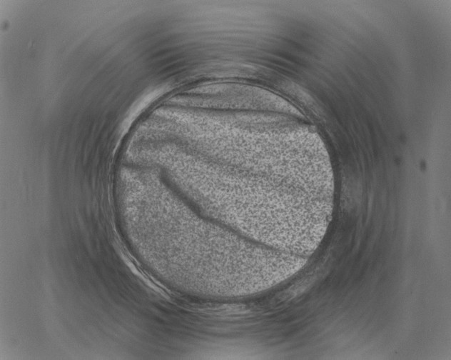 X0000060790986200512082119