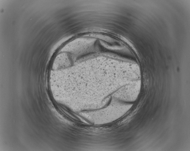 X0000060790987200512082119