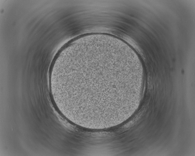 X0000060790988200512082119