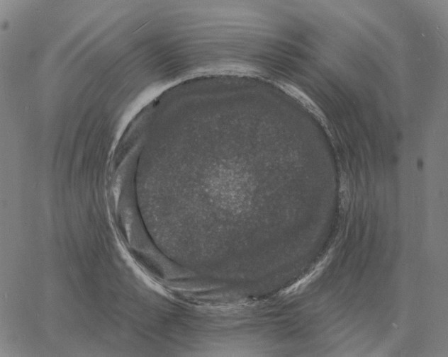 X0000060790989200512082119