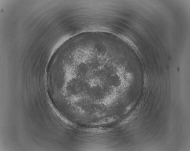 X0000060790990200512082119