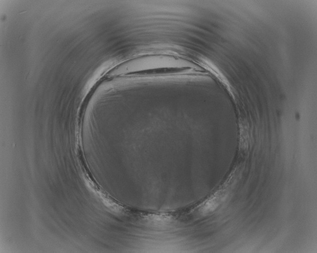 X0000060790994200512082119