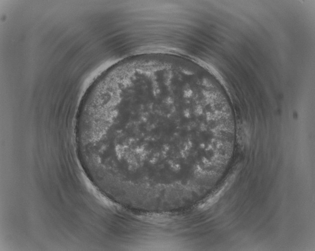 X0000060790995200512082119